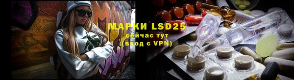 ECSTASY Алзамай