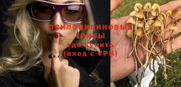 ECSTASY Алзамай