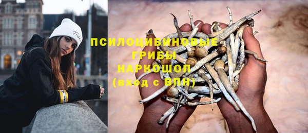 спиды Алексин