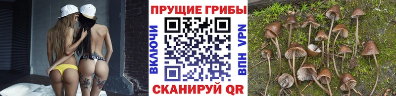 Галлюциногенные грибы MAGIC MUSHROOMS Норильск