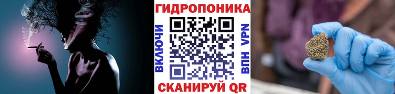 Бошки марихуана ГИДРОПОН  купить наркотик  Норильск 